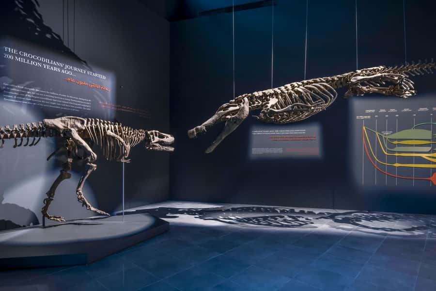 Dubai Crocodile Park Ticket - The Natural History Museum and 200 million years of evolution