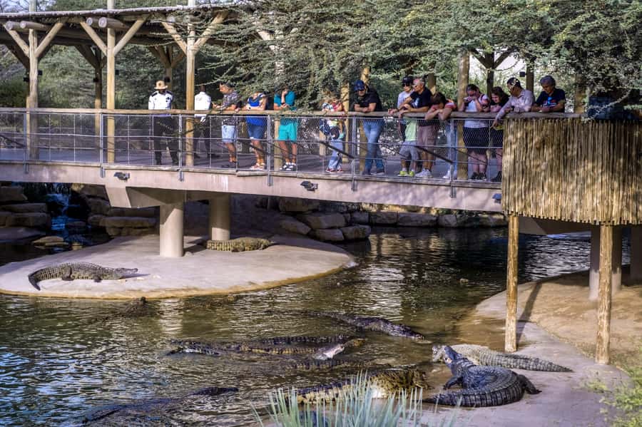 Dubai Crocodile Park Ticket - The African lake-themed aquarium