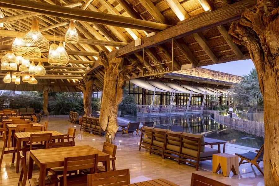 Dubai Crocodile Park Ticket - How the $17 ticket measures up