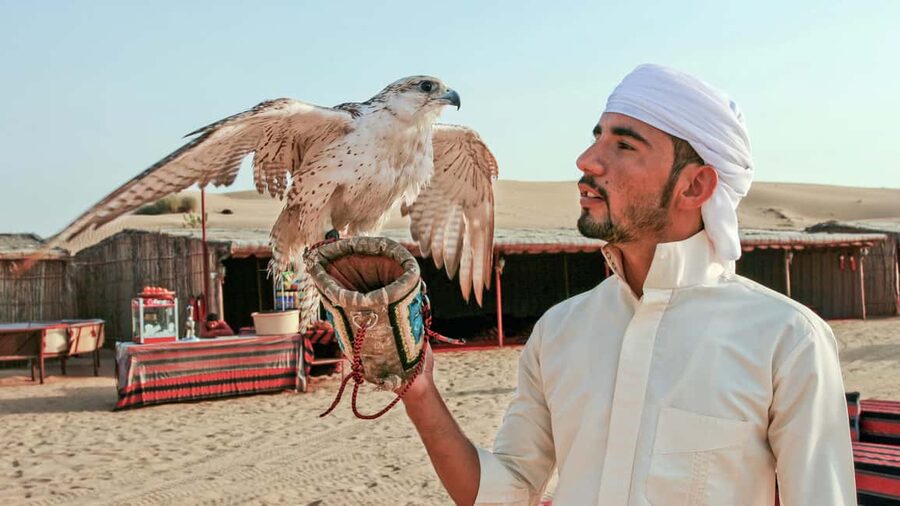 Dubai Desert Adventure: Red Dunes Guided Quad/Polaris & BBQ - Guides can shape the whole day