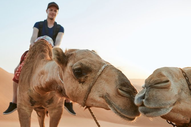 Dubai Desert Bespoke: Red Dunes Safari, Camel Ride & BBQ Options - The meeting point and the optional quad bike