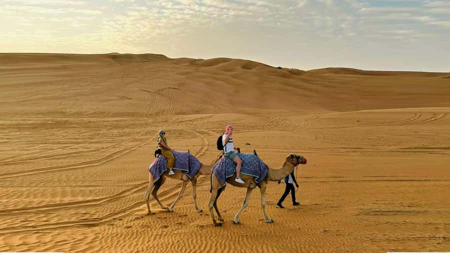 Dubai: Desert Camel Ride with Live Shows & BBQ Buffet Dinner - Should you book it?