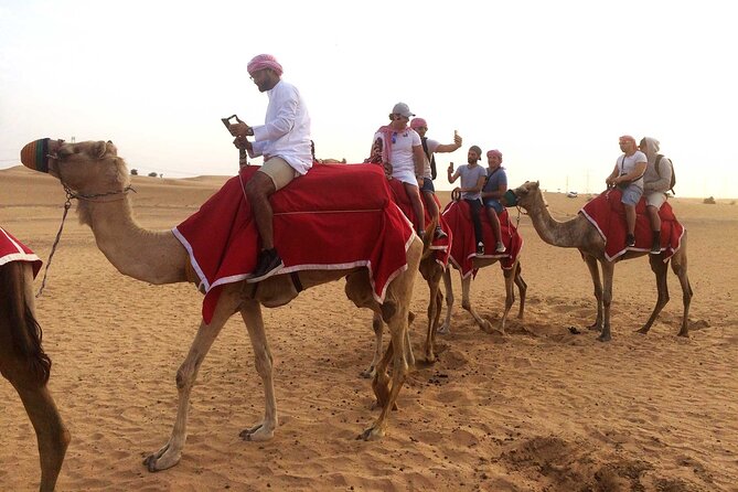 Dubai: Desert Camel Ride with Live Shows & BBQ Buffet Dinner - Who will enjoy this desert evening?
