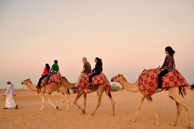 Dubai: Desert Camel Ride with Live Shows & BBQ Buffet Dinner - Safety first, then the camel ride