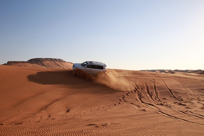 Dubai Desert Discovery: Red Dunes Safari, Sandboard & Camel Ride - Sandboarding is simple, but do not expect a lesson