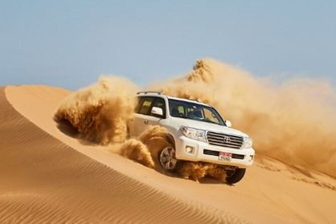 Dubai Desert Escape: Red Dunes Safari, Falcon, Camel & BBQ Dinner - Key points to know before booking
