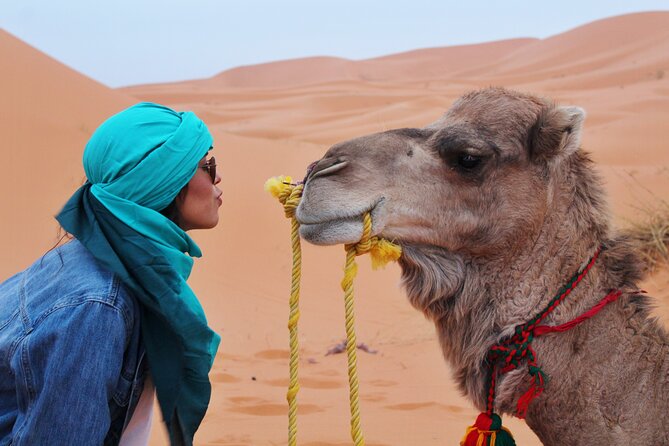 Dubai Desert Escape: Red Dunes Safari, Falcon, Camel & BBQ Dinner - Who will get the most from this safari
