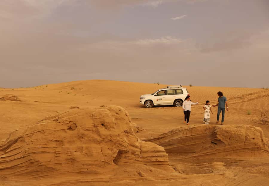 Dubai Desert Morning Drive with Wildlife Experience - What the $85 price really buys