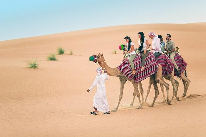Dubai Desert Red Dune Half-Day Safari Adventure and BBQ Dinner - Group Size, Timing, and Comfort
