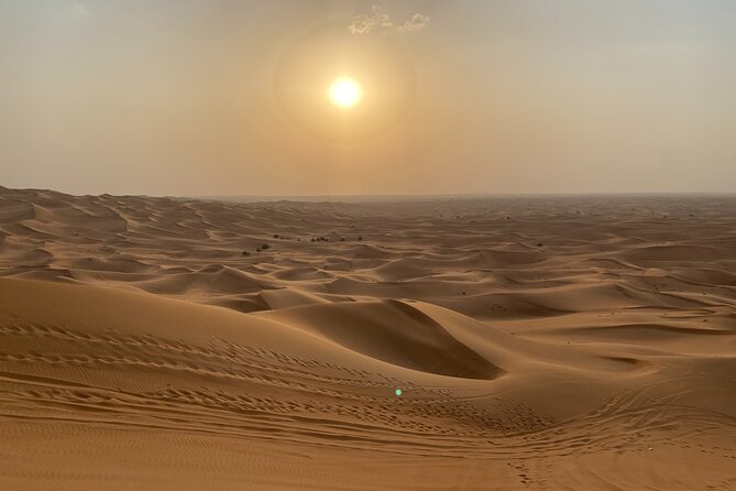 Dubai Desert Safari, Camel, Live BBQ & Shows (Private 4x4 Car) - The guide can make or break the outing