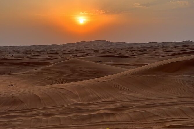 Dubai Desert Safari, Camel, Live BBQ & Shows (Private 4x4 Car) - Who should book this Dubai safari