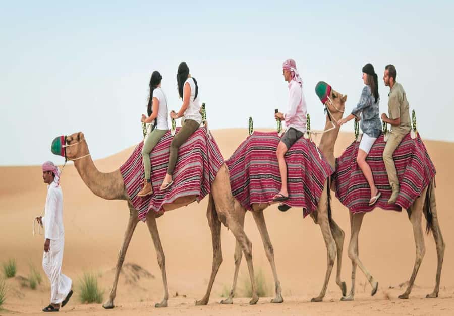 Dubai: Desert Safari, Camel Ride, Sandboard & Buffet Dinner - The camel ride is brief but worthwhile
