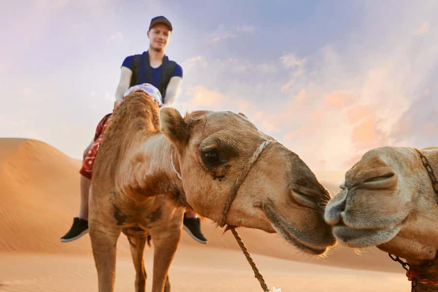 Dubai Desert Safari - Camel Ride, Sandboarding & 30 Min Quad - What the $36 price really covers