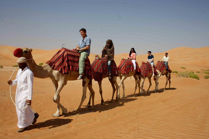 Dubai: Desert Safari, Camel Ride, Show & Optional Dinner - A five-minute camel ride, not a desert expedition