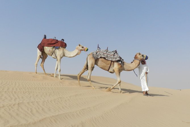 Dubai Desert Safari Dune Bashing, 60min ATV Quad, Camel Ride, BBQ - The Majlis camp turns the safari into an evening program
