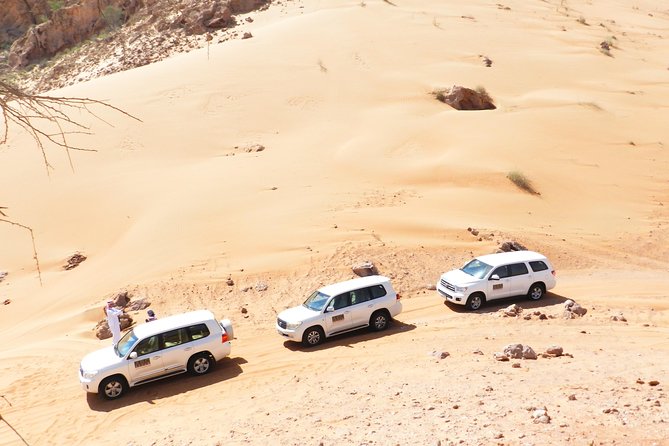 Dubai Desert Safari Exclusive jeep, activities, shows (01-05 persons) per jeep - Arriving at the Majlis camp