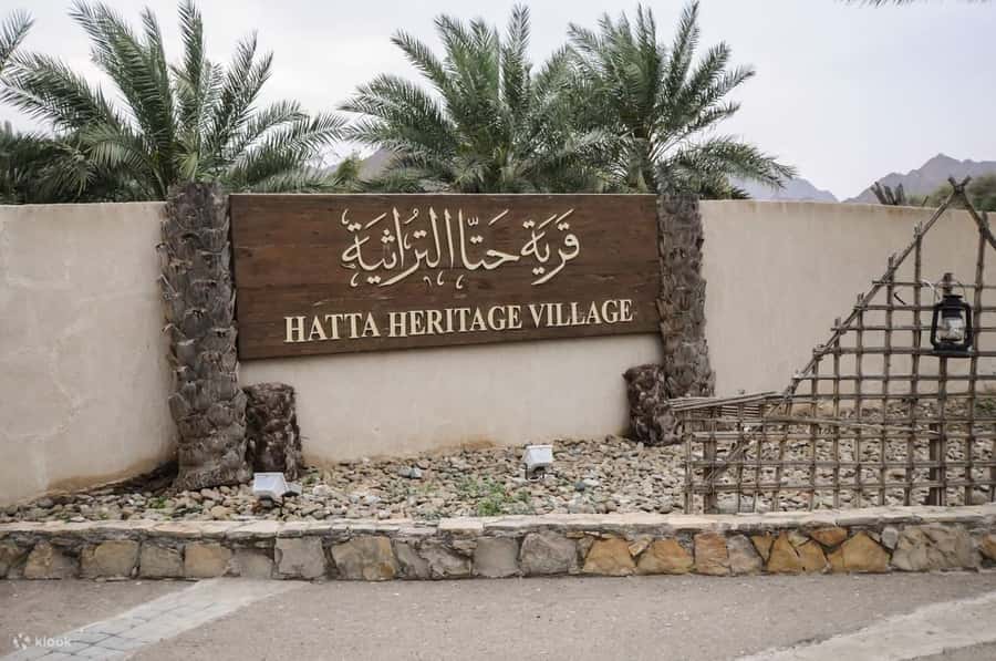 Dubai: Desert Safari or Hatta Tour with Kayaking - Transport, timing, and practical value