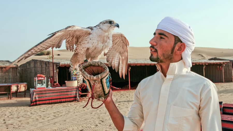 Dubai Desert Safari - Premium BBQ Dinner, Camel Ride & Shows - Tanoura, fire, and belly dancing