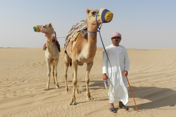 Dubai Desert Safari with BBQ, 3 Shows & Camel Ride at Majlis Camp - Three shows after sunset