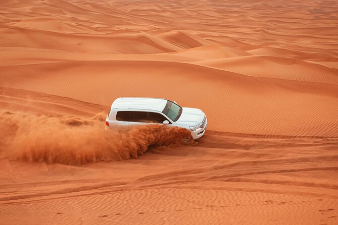 Dubai Desert Safari with BBQ Dinner and Live Shows - What the camel ride actually adds