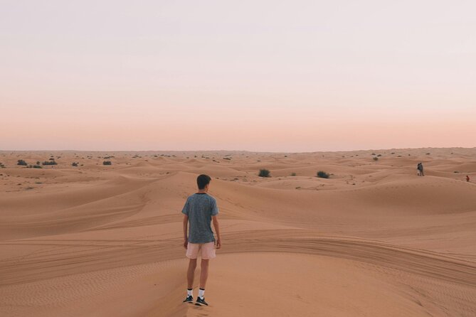 Dubai Desert Safari with BBQ Dinner and Live Shows - Belly dancing, tanura, and fire shows