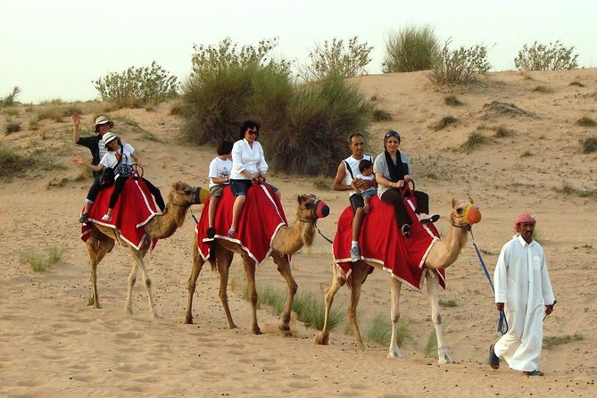 Dubai Desert Safari with BBQ Dinner Pickup from Ras Al Khaimah - A short camel ride gives the evening a traditional touch
