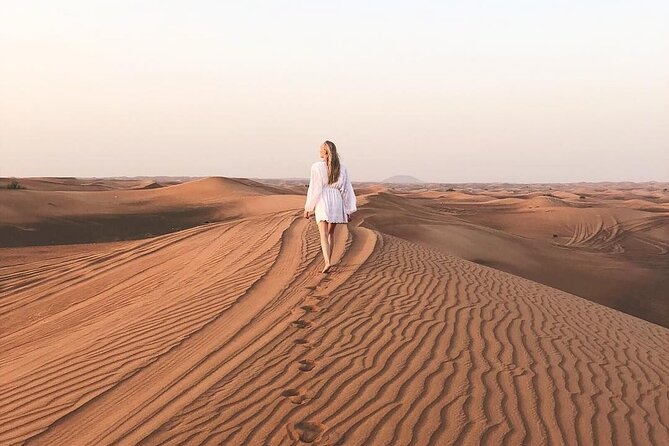 Dubai Desert Safari with Dinner, Camel Ride & Dune Bashing - Is $60 a fair price?