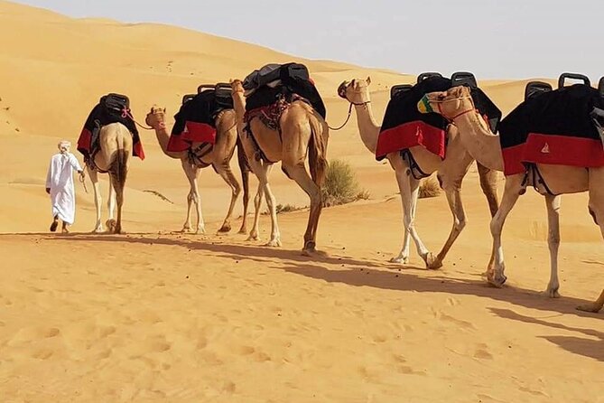 Dubai Desert Safari with Dune Bashing, Camel Ride, & BBQ Dinner - Leaving Dubai for Lahbab’s tall dunes