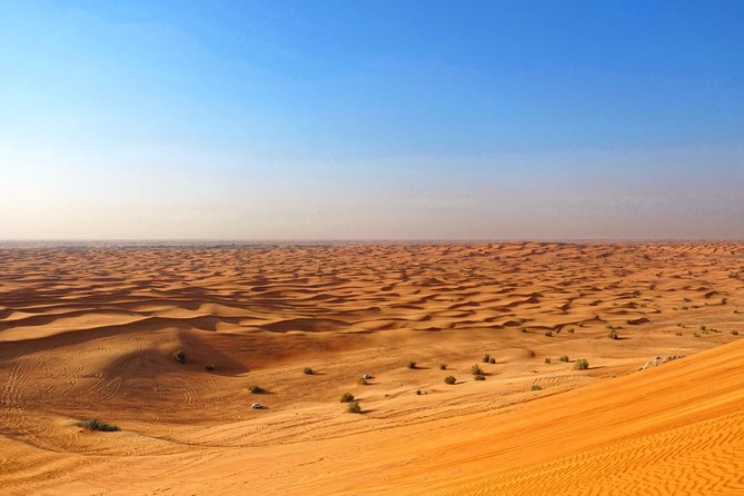 Dubai Desert Safari with Dune Bashing, Camel Rides & BBQ - BBQ dinner, buffet choices and drinks