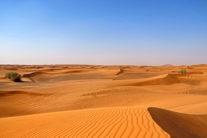 Dubai Desert Safari with Dune Bashing, Camel Rides & BBQ - The 30-minute dune bash