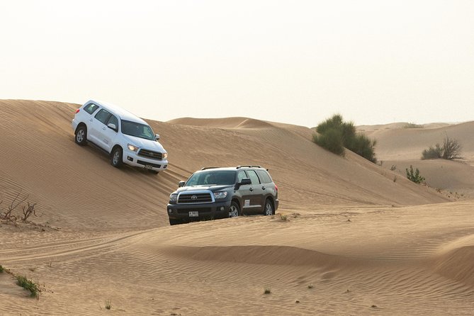 Dubai Desert Safari with Quads, BBQ Dinner, Camel ride, & Shows - Belly dancing and the spinning tanoura show