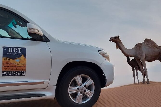 Dubai Desert Safari With Sandboarding & Camel Riding - BBQ dinner, vegetarian choices, and shisha