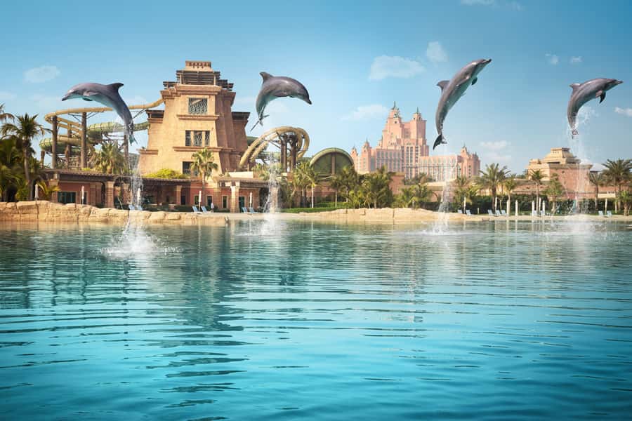 Dubai: Dolphin Encounter & Aquaventure Waterpark Ticket - FAQ