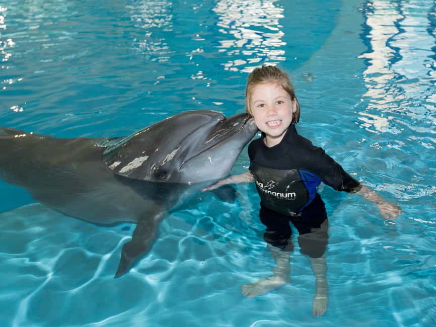Dubai: Dubai Dolphinarium Dolphin, Seal & Bird Show Tickets - Is $25 good value?