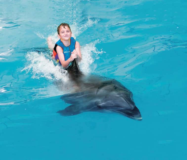 Dubai: Dubai Dolphinarium Dolphin, Seal & Bird Show Tickets - Booking and practical tips