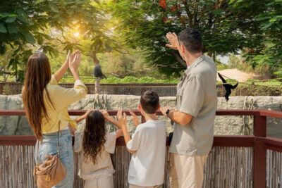 Dubai Safari Park Entry Pass