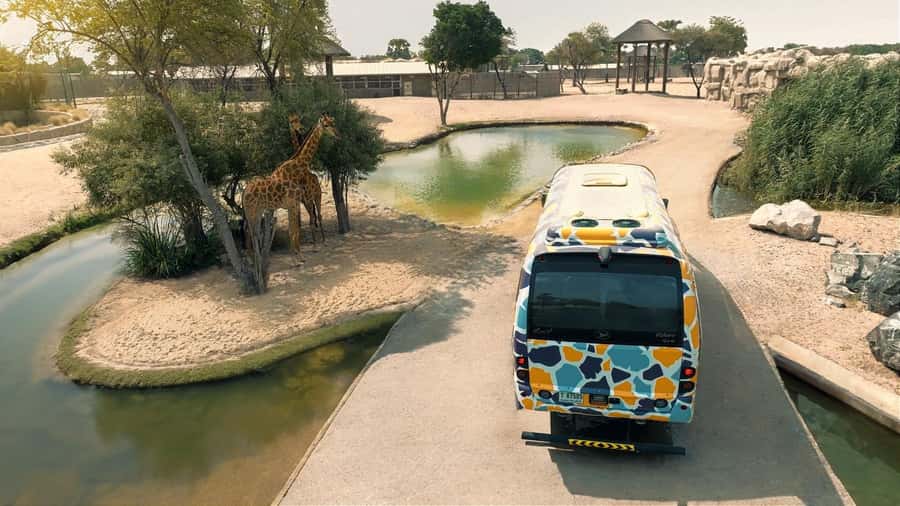 Dubai: Dubai Safari Park Entry Pass - Explorer Village: the best paid upgrade for close views