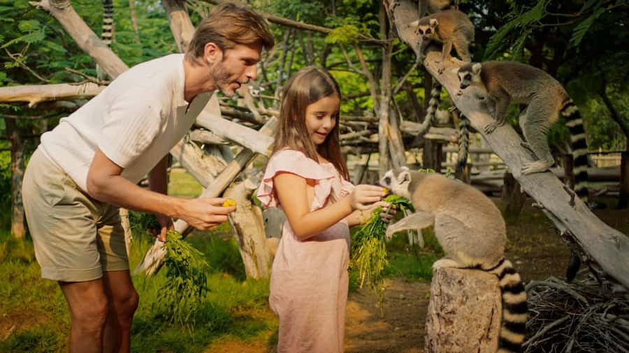 Dubai: Dubai Safari Park Entry Pass - Shows, talks, and the Grand Aviary