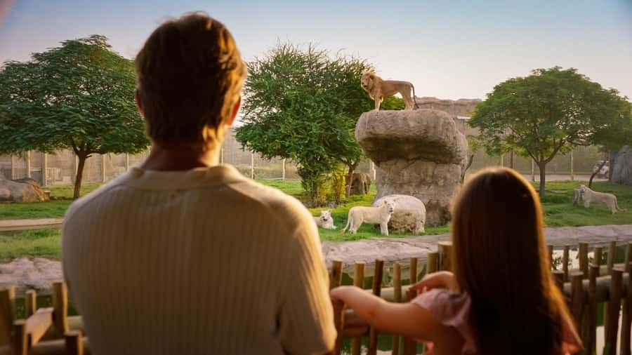 Dubai: Dubai Safari Park Entry Pass - Heat, shade, food, and comfort