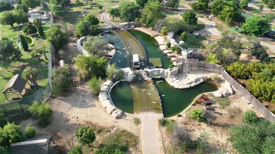Dubai: Dubai Safari Park Entry Pass - Price and what the $13 ticket really buys