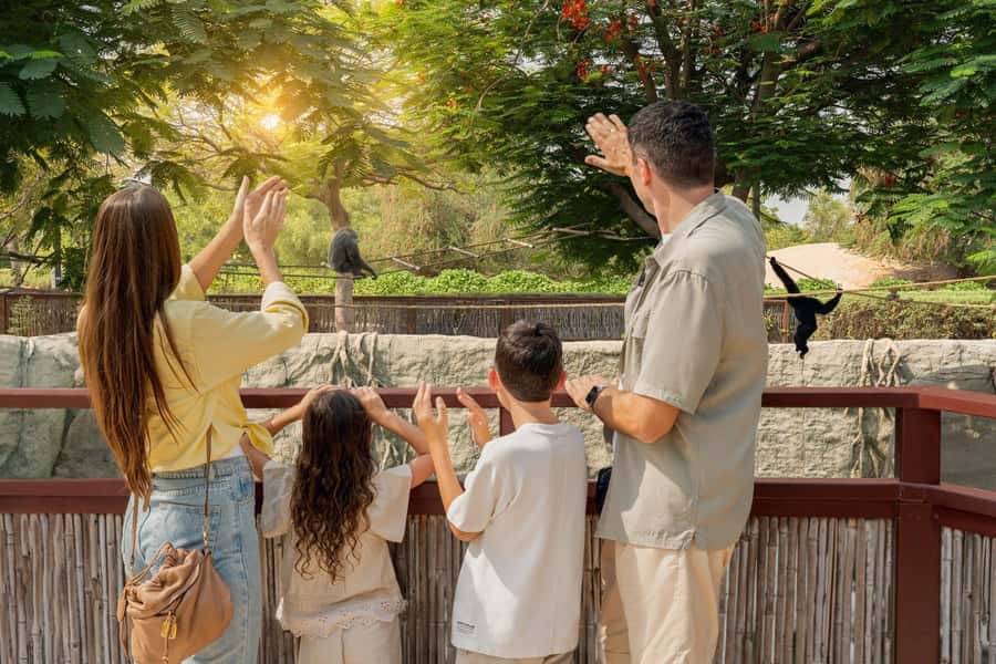 Dubai: Dubai Safari Park Entry Pass - African Village: big animals and open views