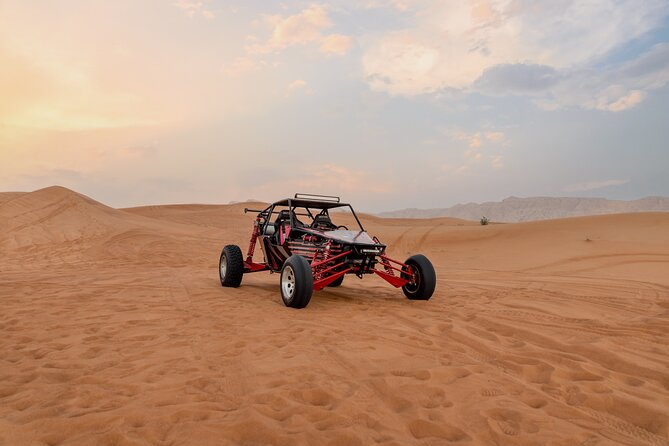 Dubai Dune Buggy Safari Tour in Red Dunes Options - Choosing between the tour options