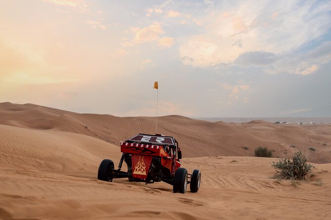 Dubai Dune Buggy Safari Tour in Red Dunes Options - Practical advice for a smoother day