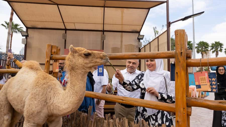 Dubai: Emirati Cultural Experience with Emirati Meal - How the $71 price works out