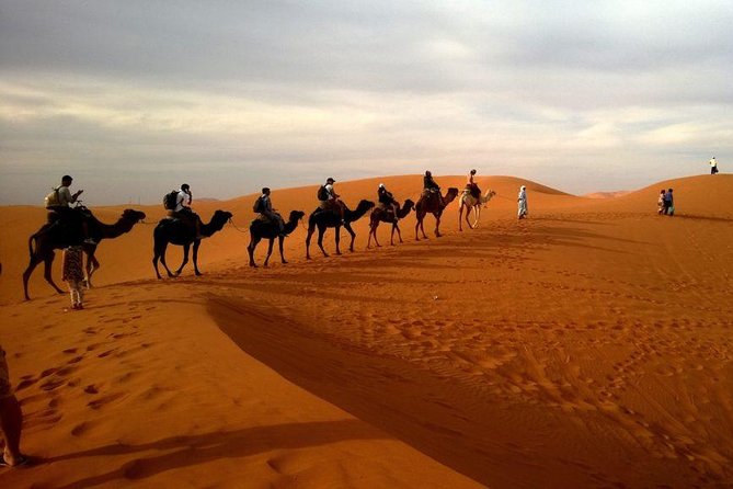 Dubai Evening 4x4 Desert Safari ATV Bike ,Camel Ride , BBQ Dinner - What the $75 price really covers