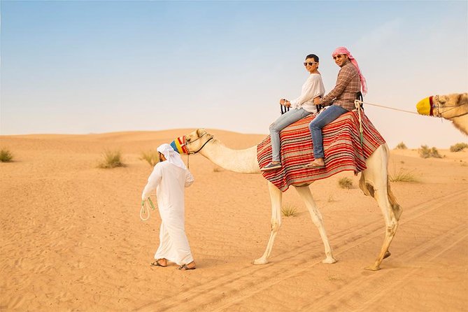 Dubai Evening 4x4 Desert Safari, Shows, Camel Ride BBQ Dinner - Is $49 a fair price?