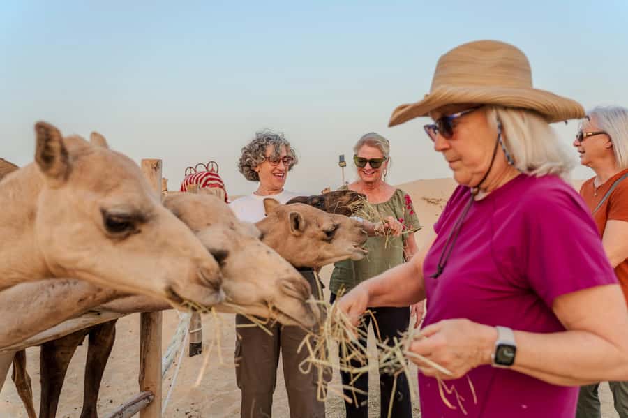 Dubai: Evening Camel Trekking & Dinner at Al Marmoom Oasis - Falcon photography and optional camp activities