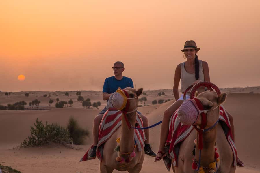 Dubai: Evening Camel Trekking & Dinner at Al Marmoom Oasis - Telescope stargazing in a quiet desert