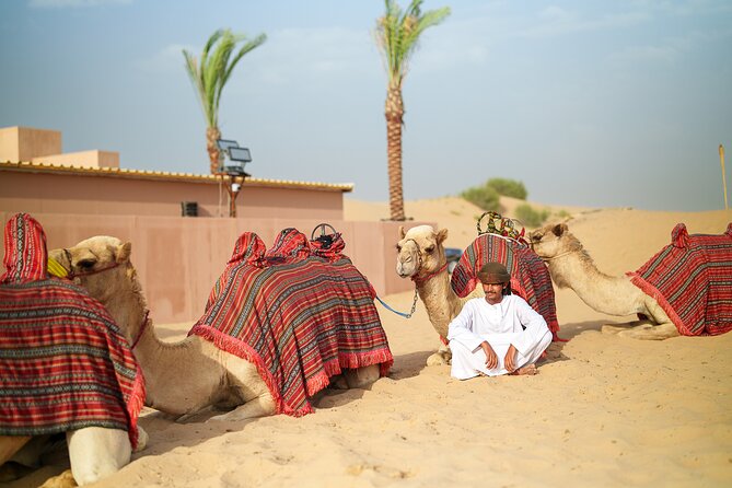 Dubai Evening Desert Safari BBQ Dinner & Transfer to Noble Camp - What the $79.82 price really covers