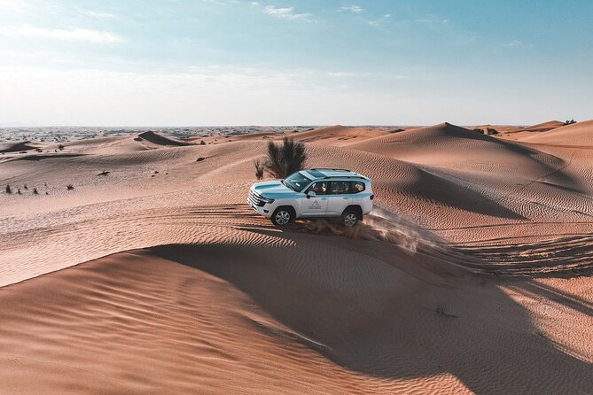 Dubai Evening Desert Safari: Sandboarding, BBQ, Camel Ride & more - BBQ dinner under the stars